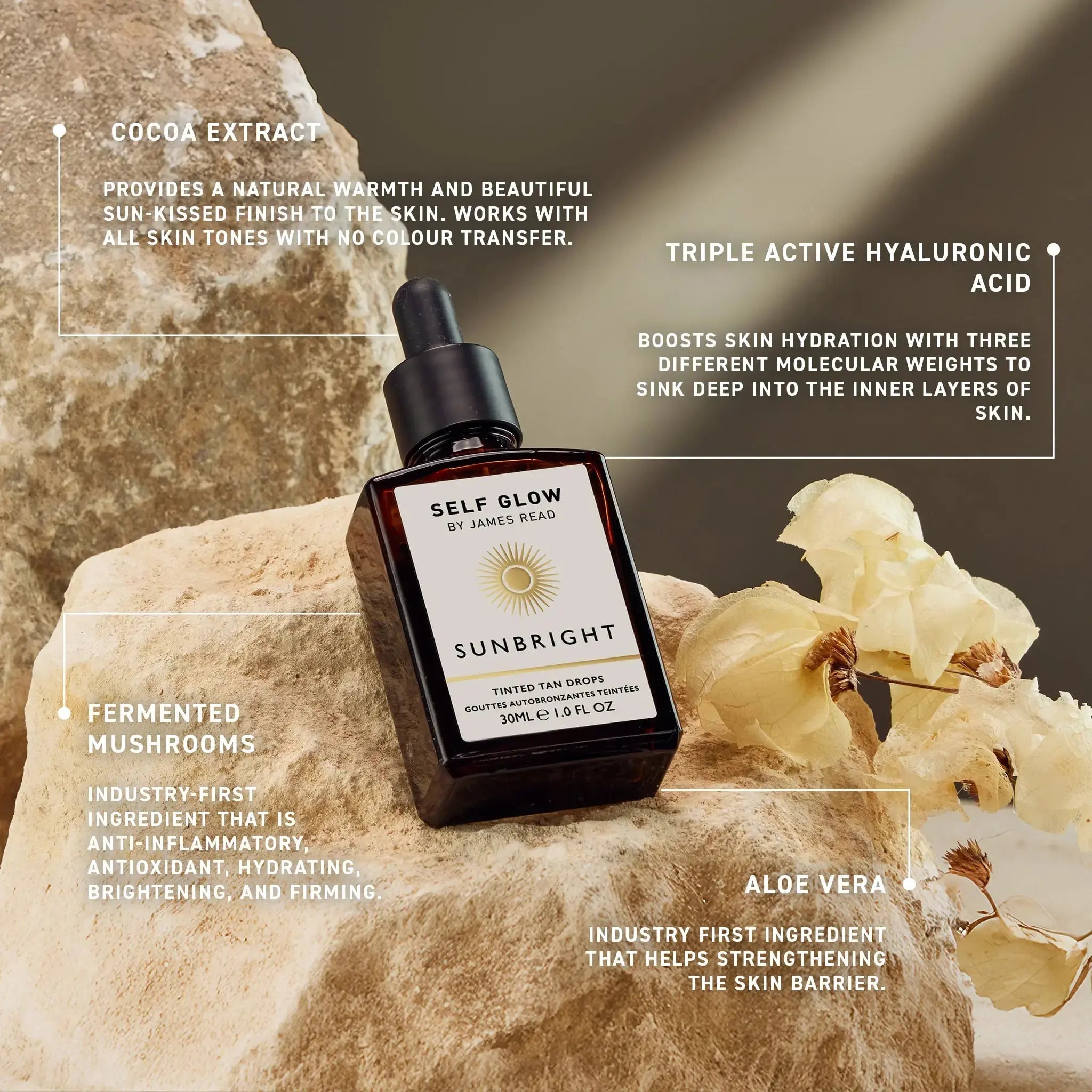 Sunbright - Tinted Tanning Drops Travel Size 12ml - Self Glow by James ReadSkincareJRTTD12